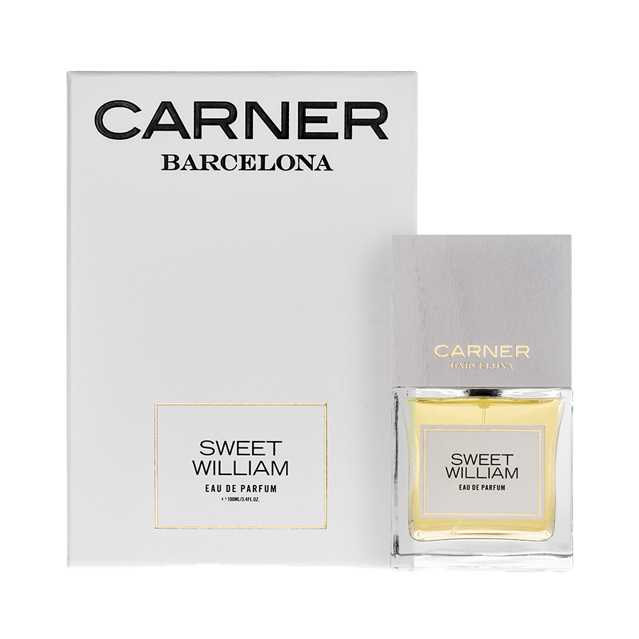 Carner Sweet William