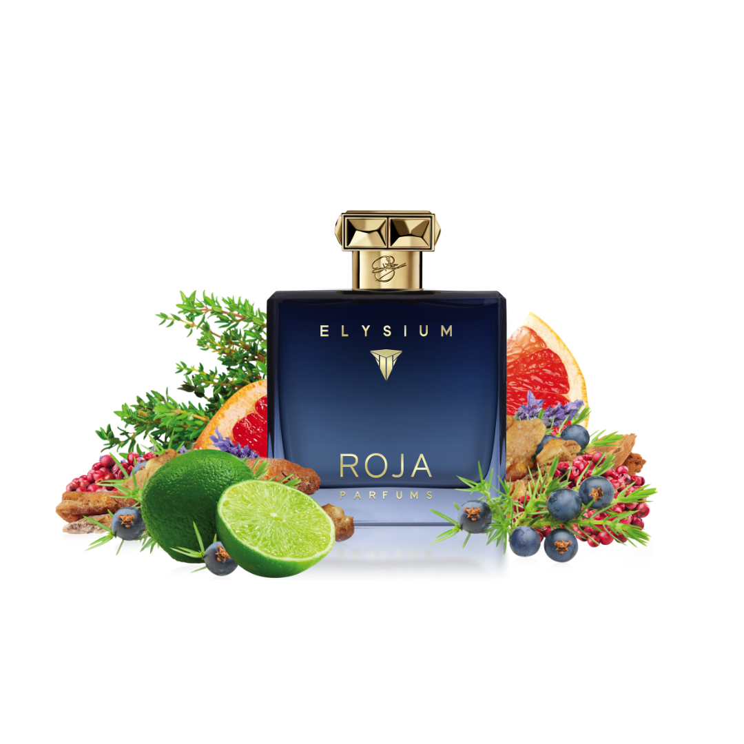 Roja Parfums Elysium Homme Parfum Cologne 100ml | ART OF